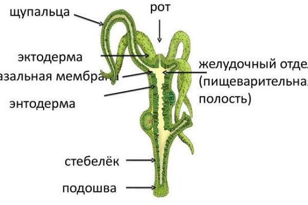 Kraken 15 at сайт